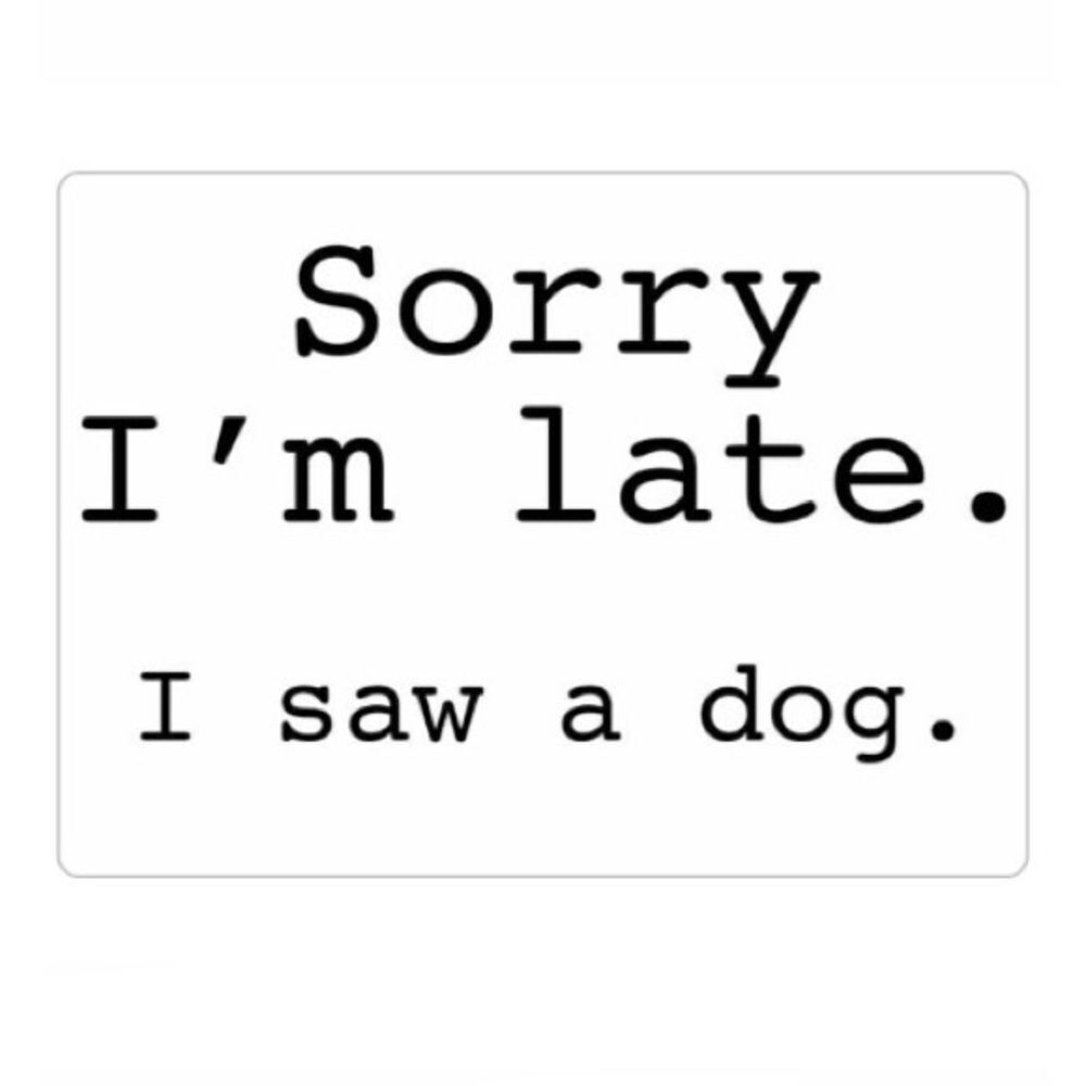 “Sorry I’m Late. I Saw a Dog” magnet